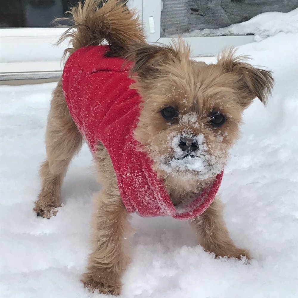 Meet your Posher, Stacy